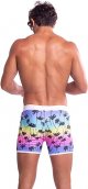Men's Swim Briefs Boxer Swimsuits Male Surf Short